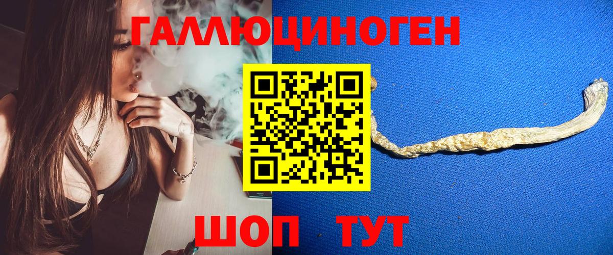 Елец  Псилоцибиновые грибы Magic Shrooms  Вход с VPN 